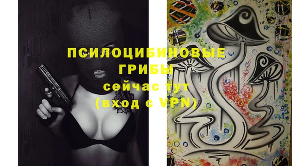 ПСИЛОЦИБИНОВЫЕ ГРИБЫ Алзамай