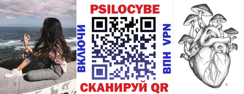Псилоцибиновые грибы Cubensis  Петрозаводск 
