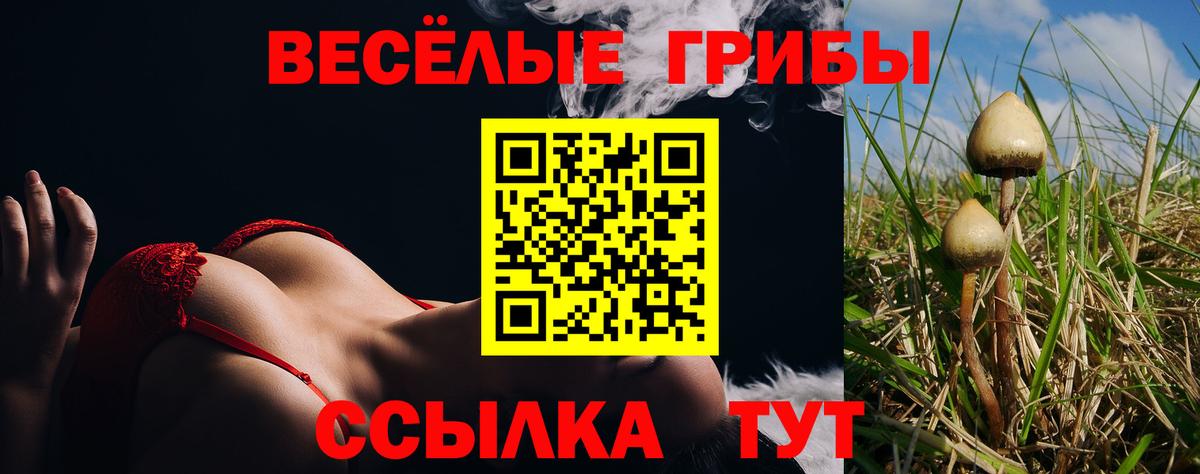 Галлюциногенные грибы прущие грибы  Вход с VPN  Петрозаводск  Псилоцибиновые грибы прущие грибы 