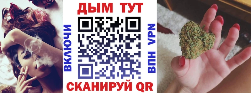 Бошки марихуана конопля  где купить наркоту  Петрозаводск 